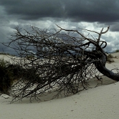White Sands 11